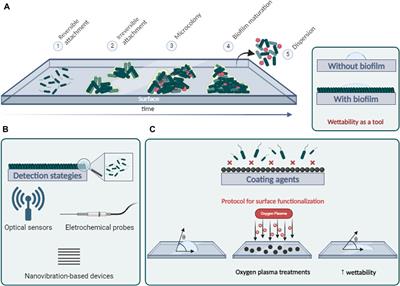 Biofilm contamination in confined space stations: reduction, coexistence or an opportunity?